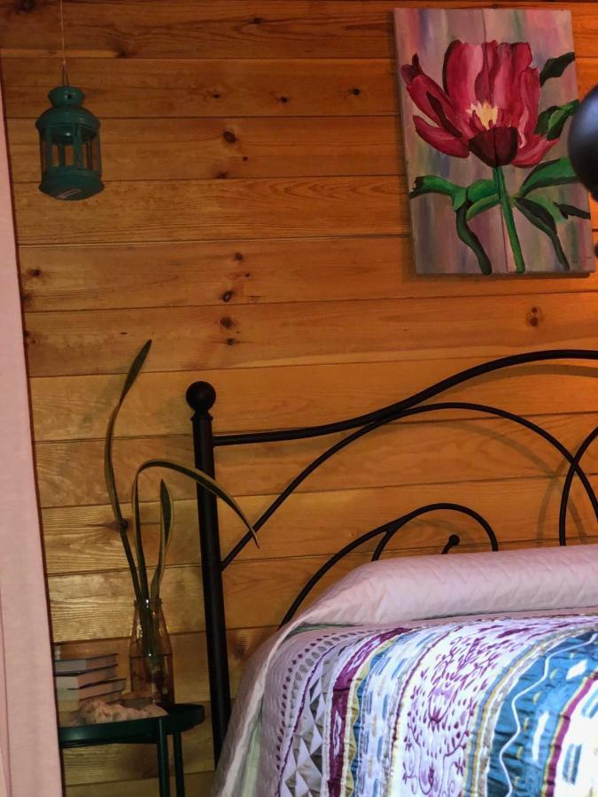 Happy Glamping Cy Villa Agios Theodoros Exterior photo